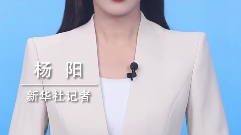 数据服务性能参数：揭秘其背后的关键指标